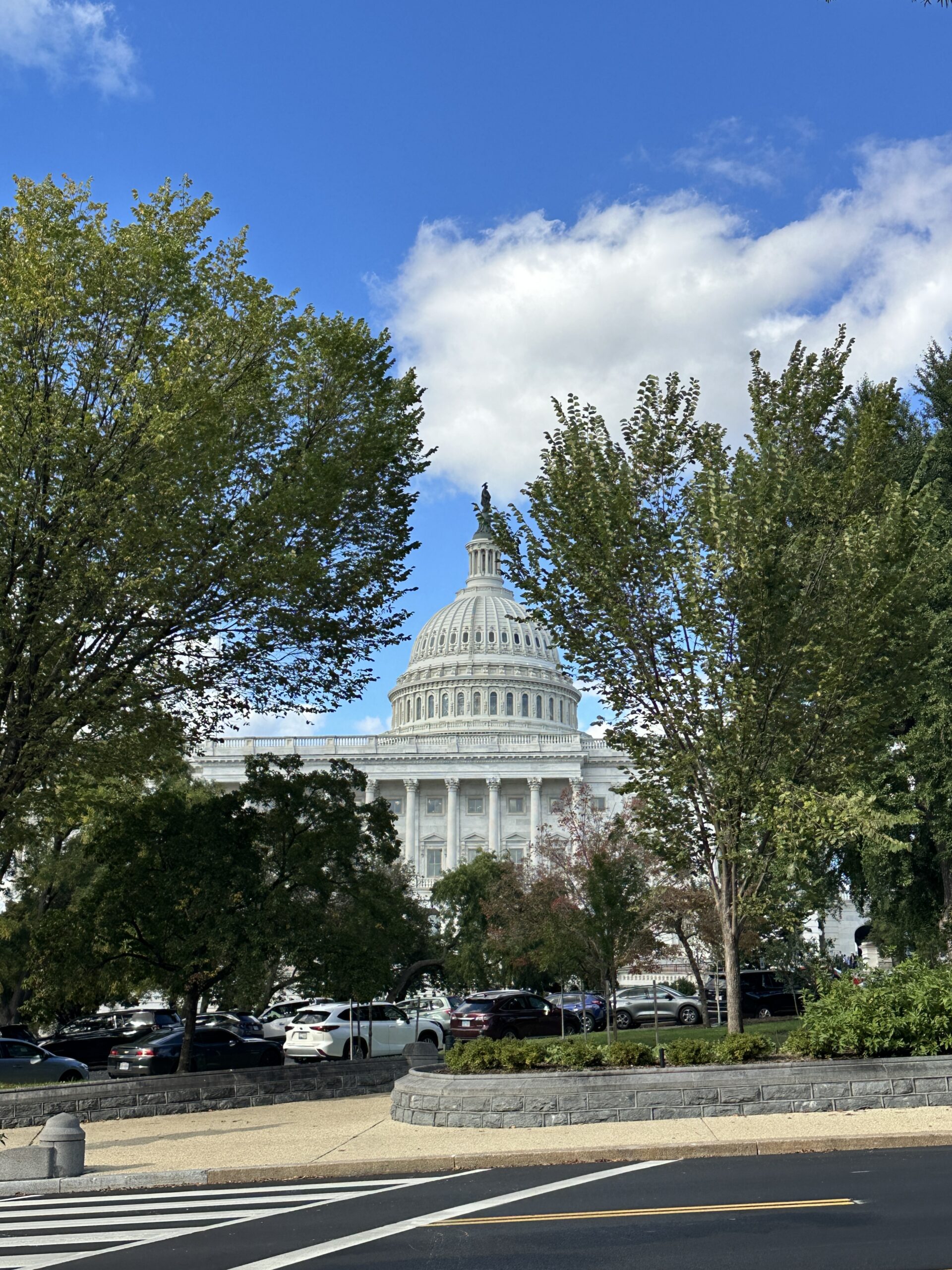 View of the U.S. Capital Building
