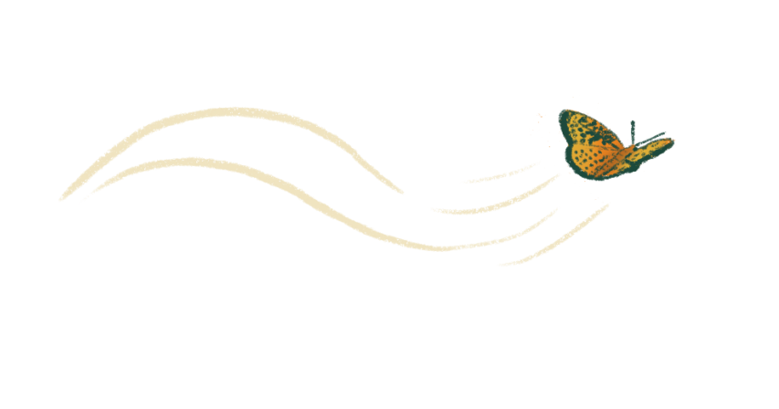 An orange and black butterfly swooping.